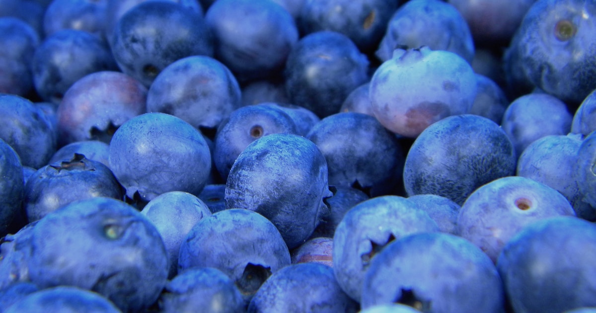 Carte de printemps : comment renouveler votre menu saisonnier pour séduire et fidéliser vos clients